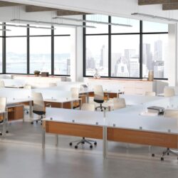 Team Workstation | DM301