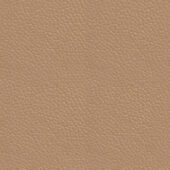 A-Pauly-Taupe