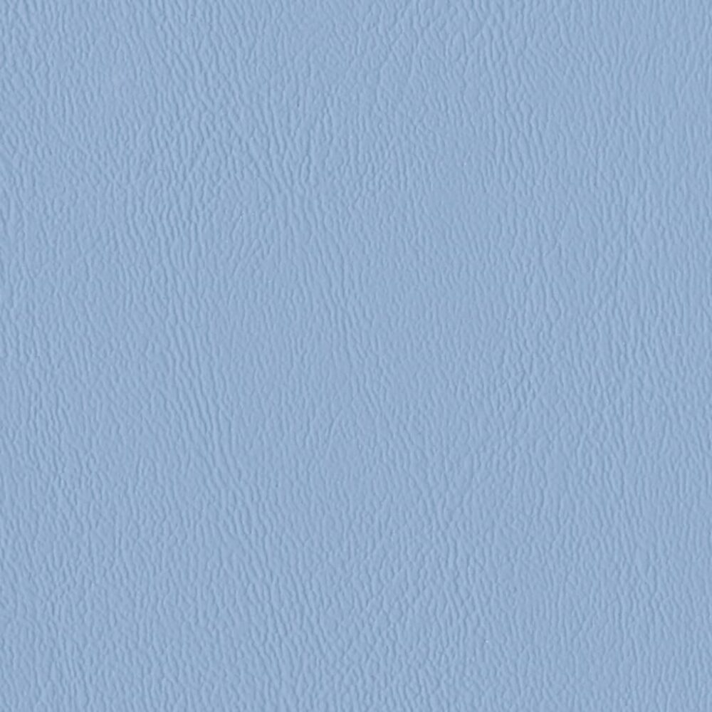 Nautilus_Ace_Bluebell Nautilus_Ace_Bluebell