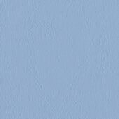 Nautilus_Ace_Bluebell