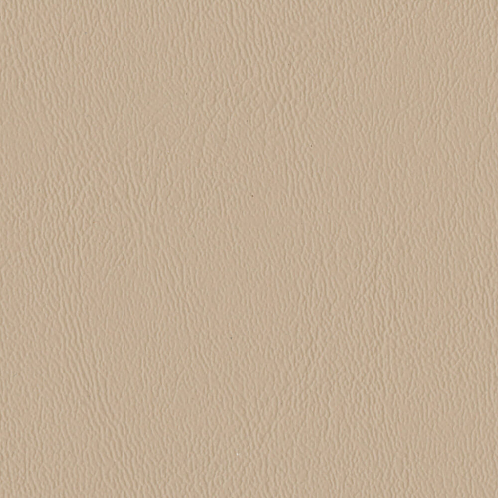 Nautilus_Ace_Bluff Nautilus_Ace_Bluff