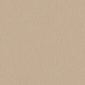 Nautilus_Ace_Bluff