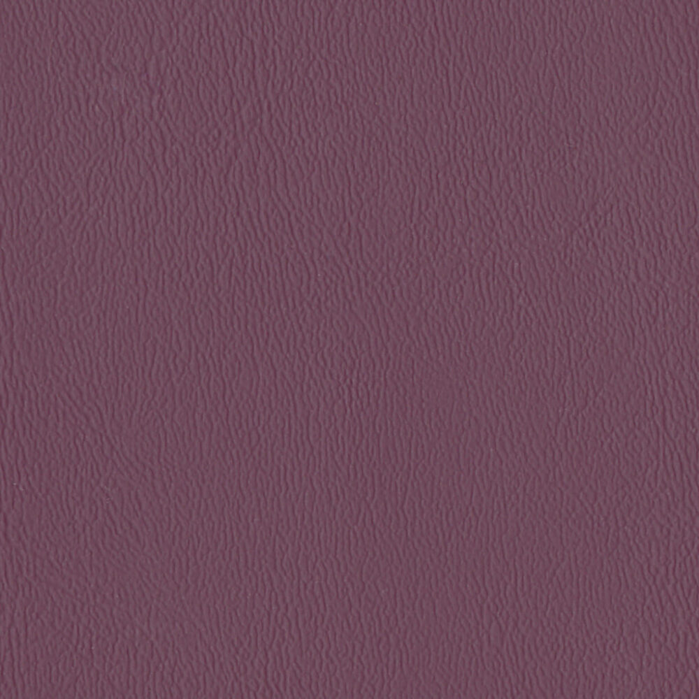 Nautilus_Ace_Boysenberry Nautilus_Ace_Boysenberry