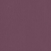 Nautilus_Ace_Boysenberry