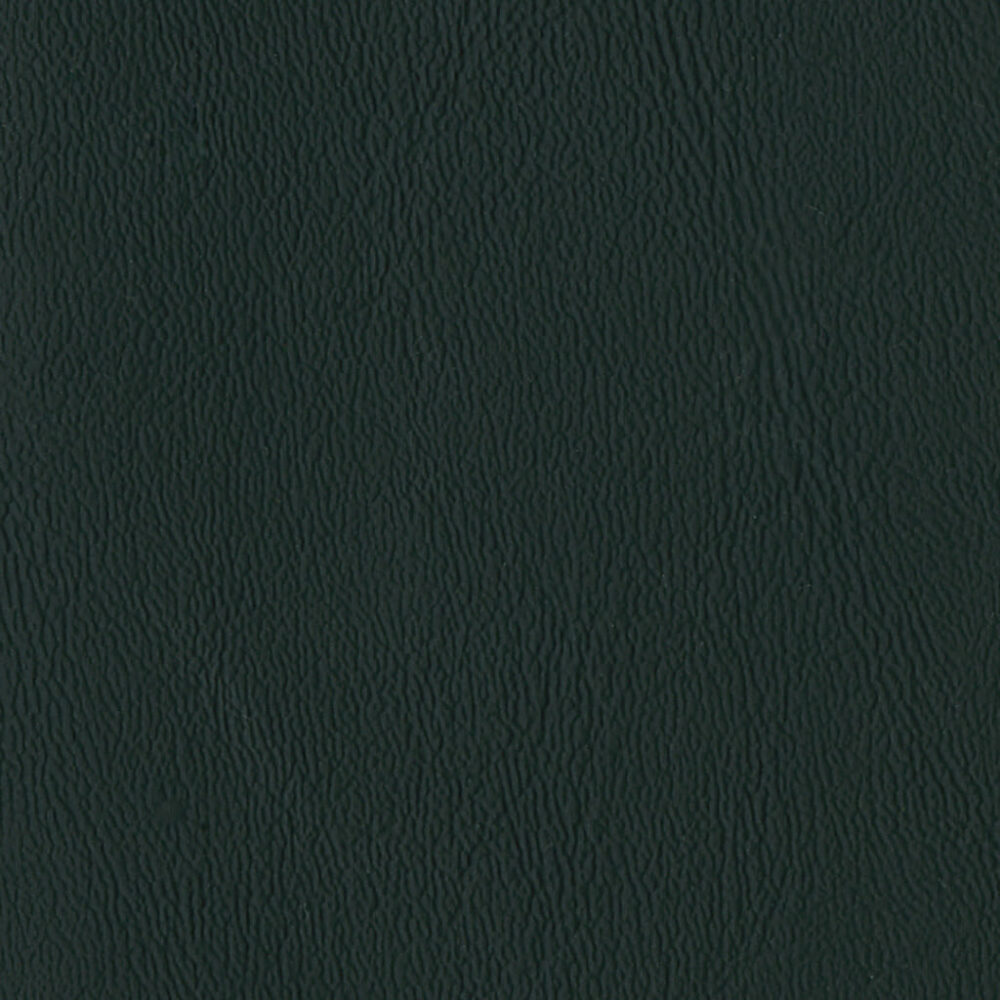 Nautilus_Ace_Domino Nautilus_Ace_Domino