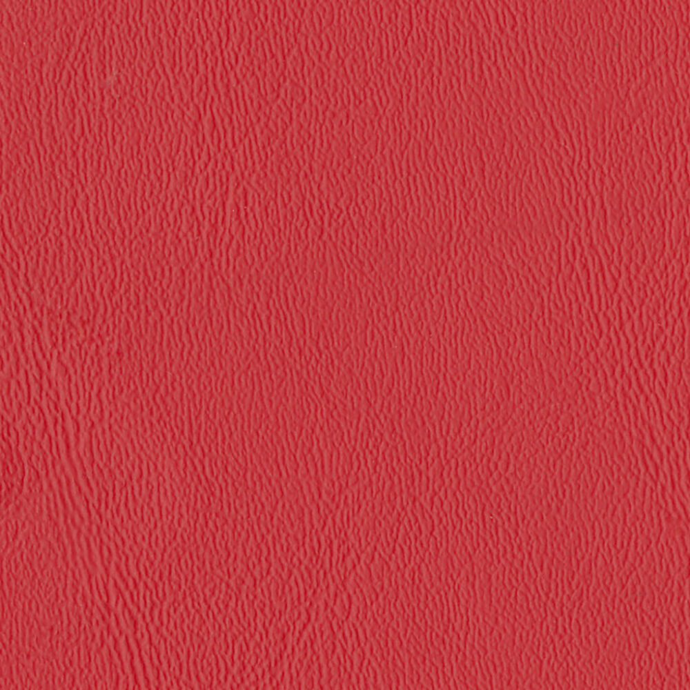 Nautilus_Ace_Flamenco Nautilus_Ace_Flamenco