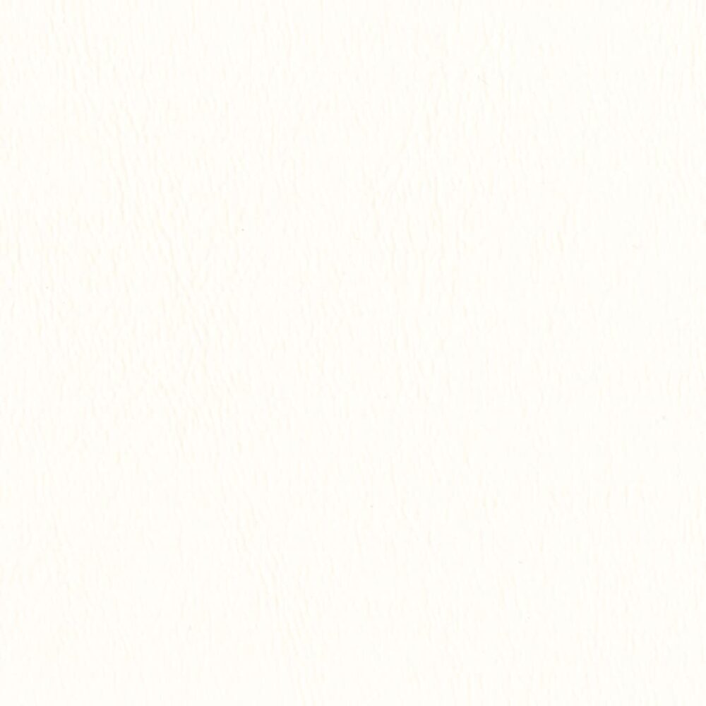 Nautilus_Ace_Frost Nautilus_Ace_Frost