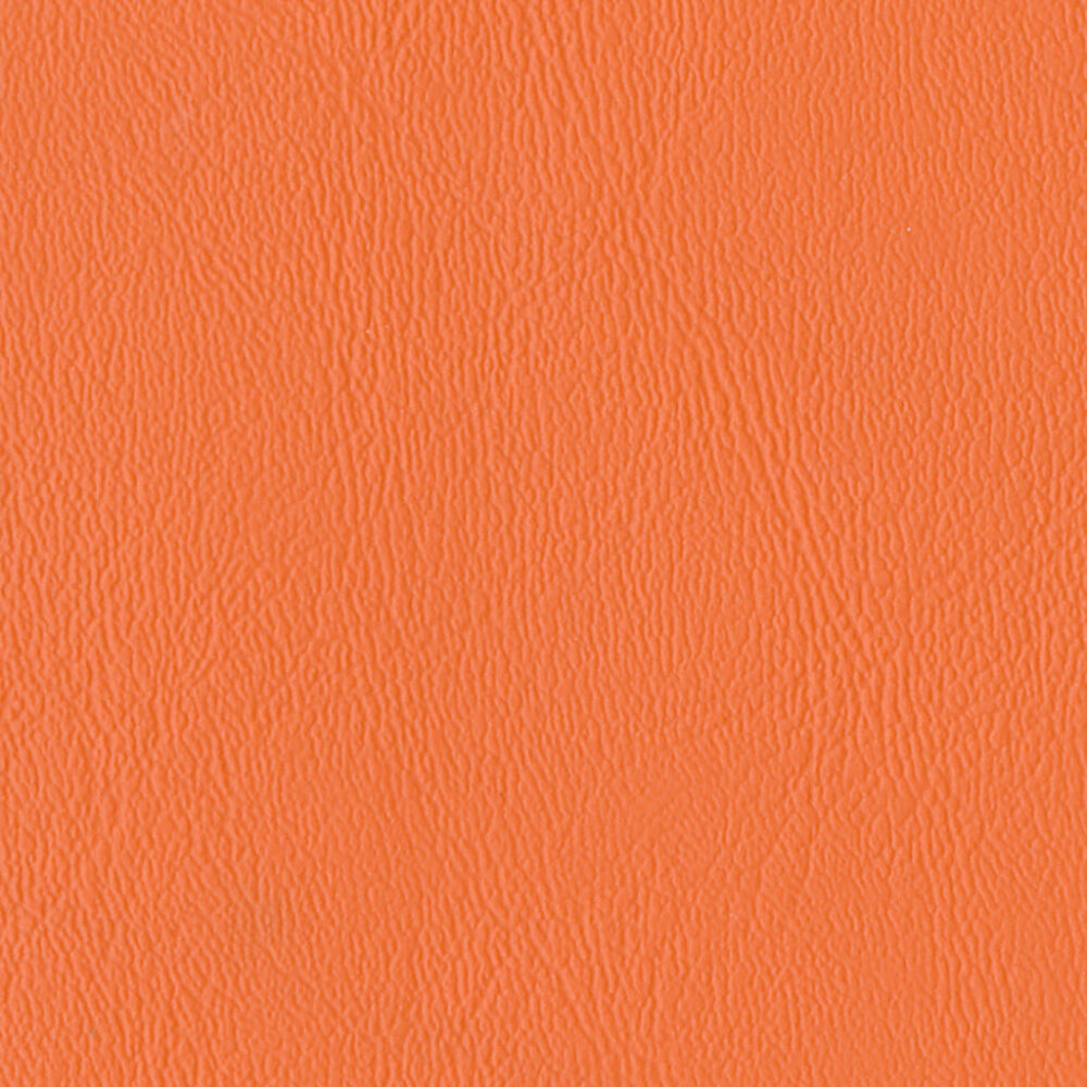 Nautilus_Ace_Koi Nautilus_Ace_Koi