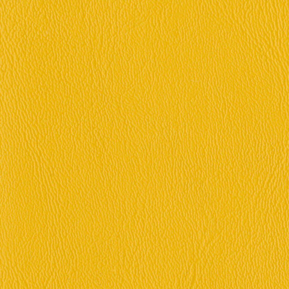 Nautilus_Ace_Marigold Nautilus_Ace_Marigold