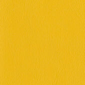 Nautilus_Ace_Marigold