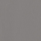 Nautilus_Ace_Nickel