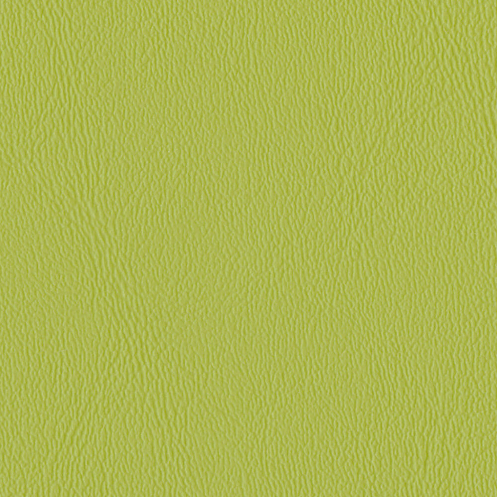 Nautilus_Ace_Olive Nautilus_Ace_Olive