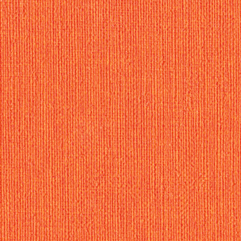 Nautilus_Hemingway_Hibiscus Nautilus_Hemingway_Hibiscus