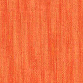 Nautilus_Hemingway_Hibiscus