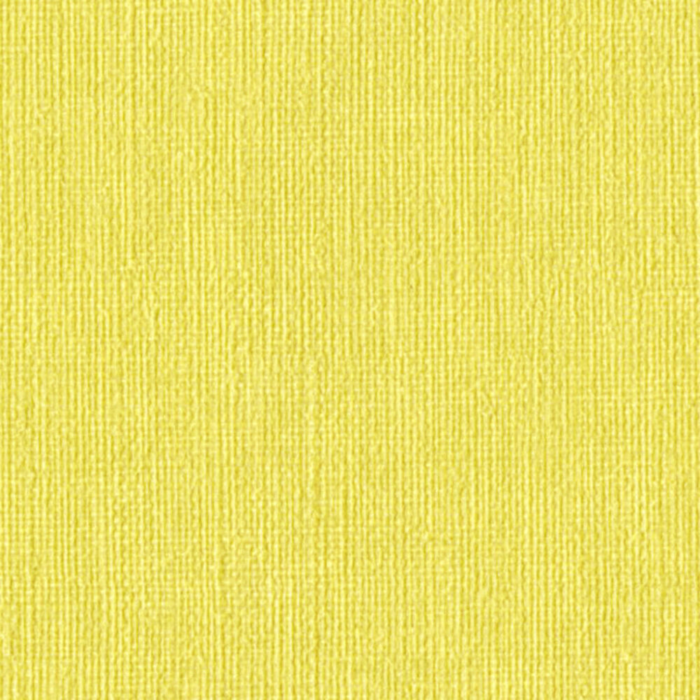 Nautilus_Hemingway_Parakeet Nautilus_Hemingway_Parakeet