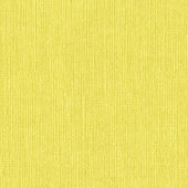 Nautilus_Hemingway_Parakeet