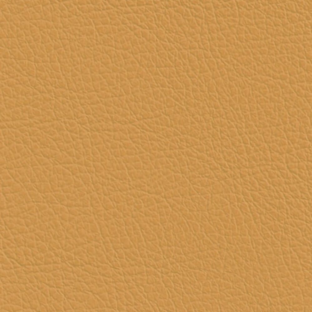 Nautilus_Pauly_Straw Nautilus_Pauly_Straw