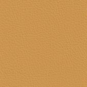 Nautilus_Pauly_Straw