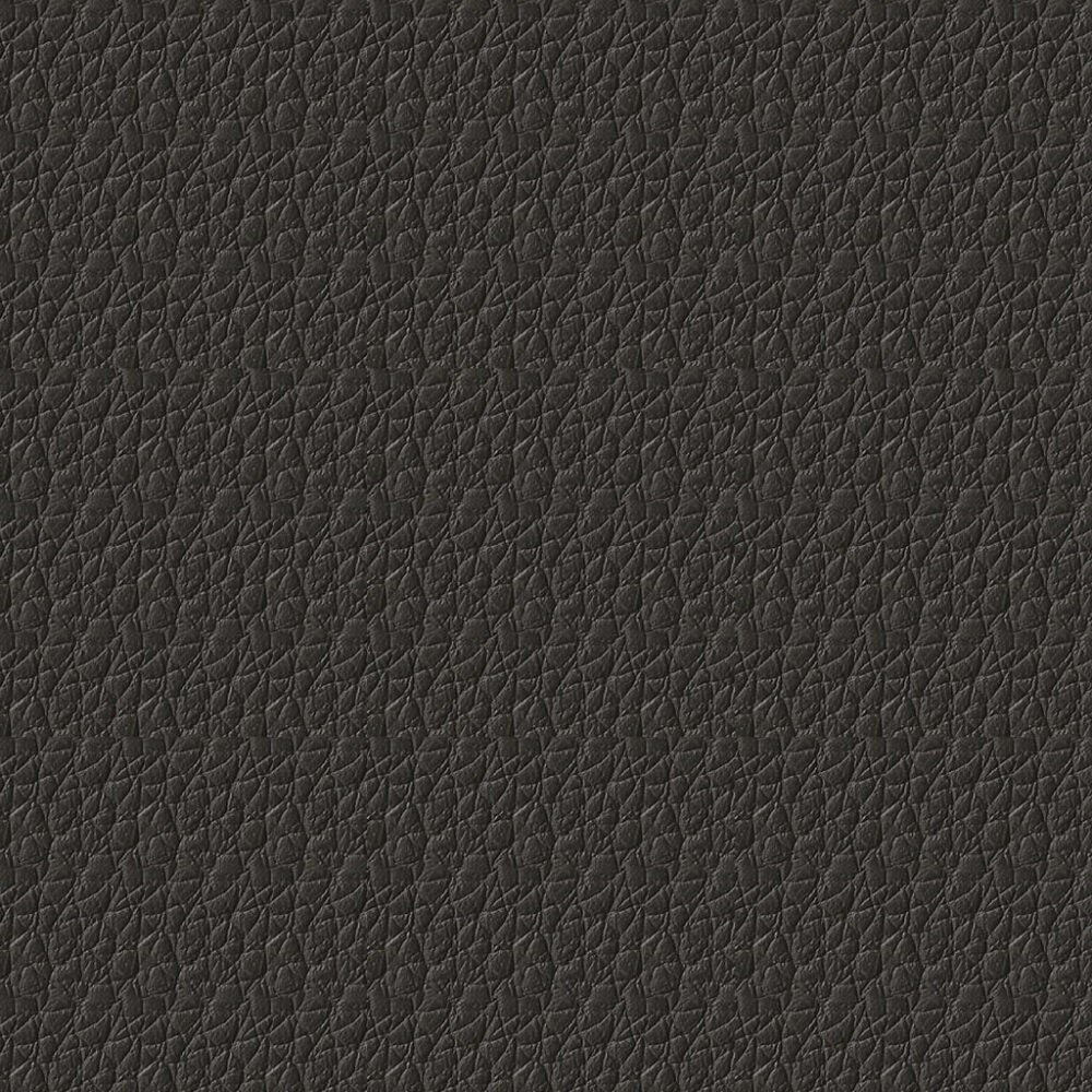 Nautilus_Pauly_Thunder Nautilus_Pauly_Thunder