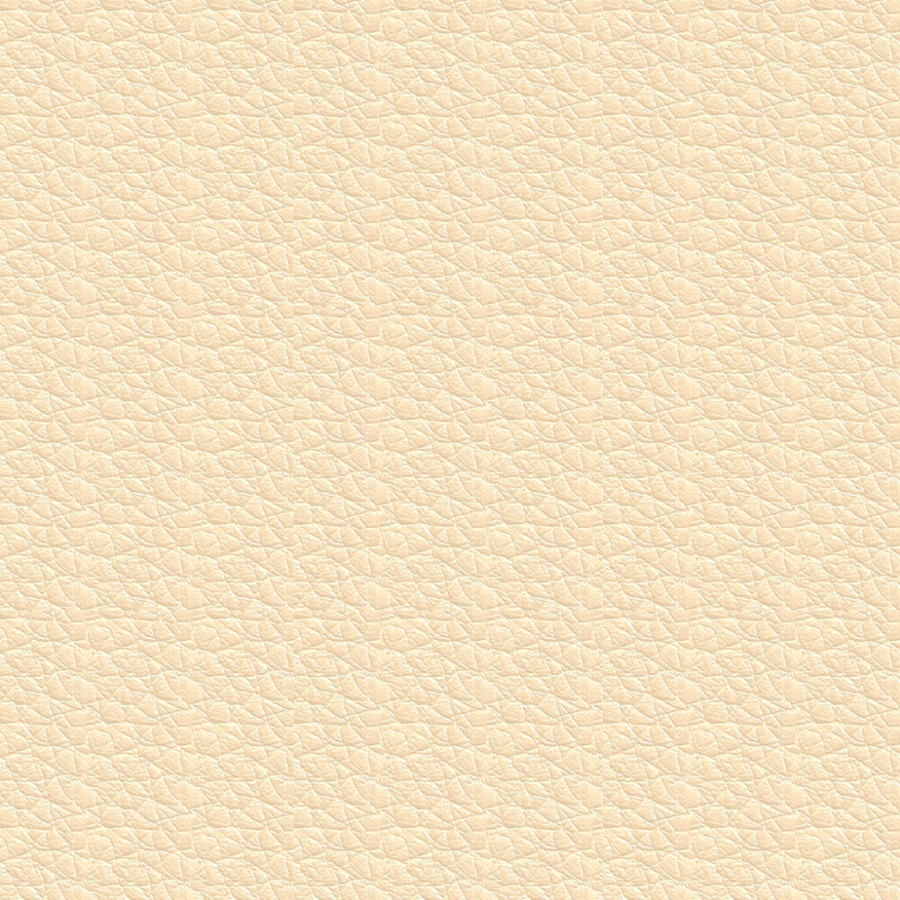 Pauly_Alabaster Pauly_Alabaster