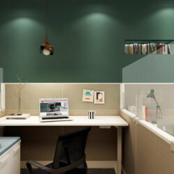semi private workstation