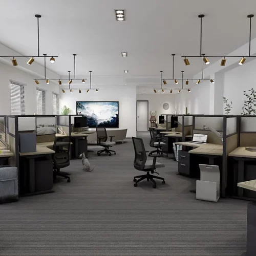 semi private workstation