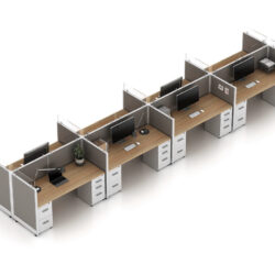 semi private workstation