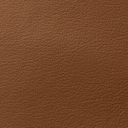 Davenport_DAV-7568_EARTHY