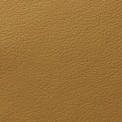 Davenport_DAV-7835_CAMEL