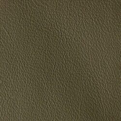 Davenport_DAV-8554_OLIVE