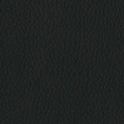 Dillon-Black-300x300