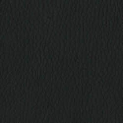Dillon-Black-300x300