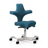 Media_Gallery_Detail_Capisco_8106-teal_35_884x884