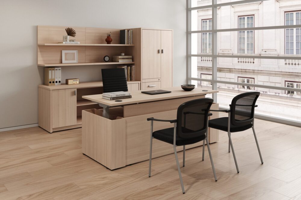 executive sit stand