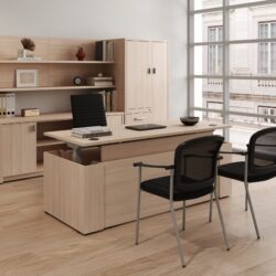 executive sit stand