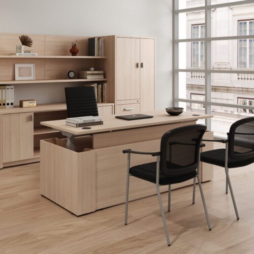 executive sit stand