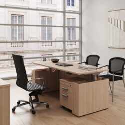 executive sit stand