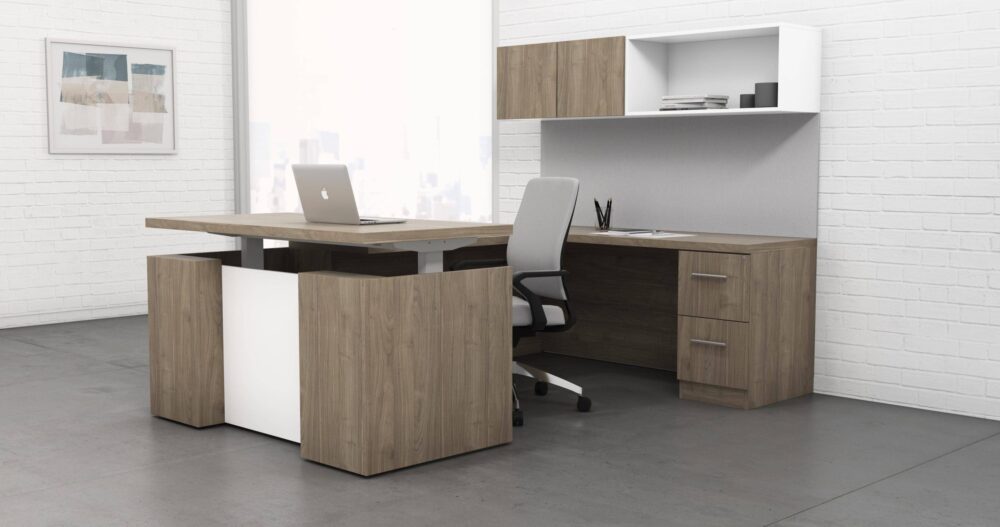 executive sit stand