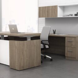 executive sit stand
