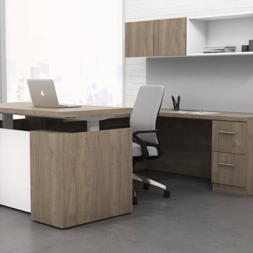 executive sit stand