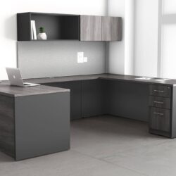 executive sit stand