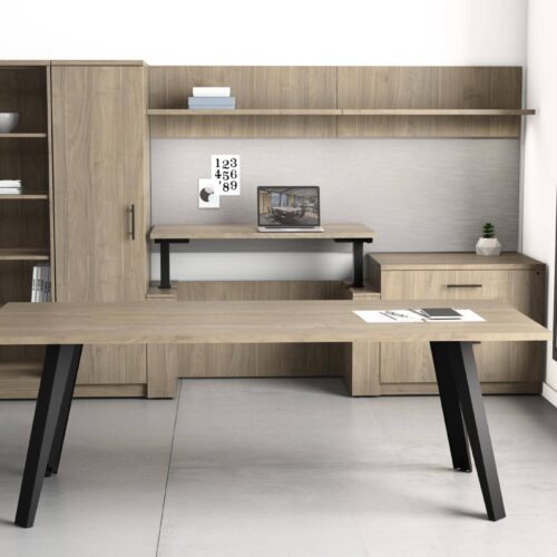 executive sit stand