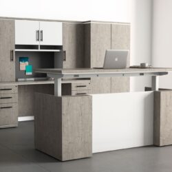 executive sit stand