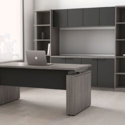 executive sit stand