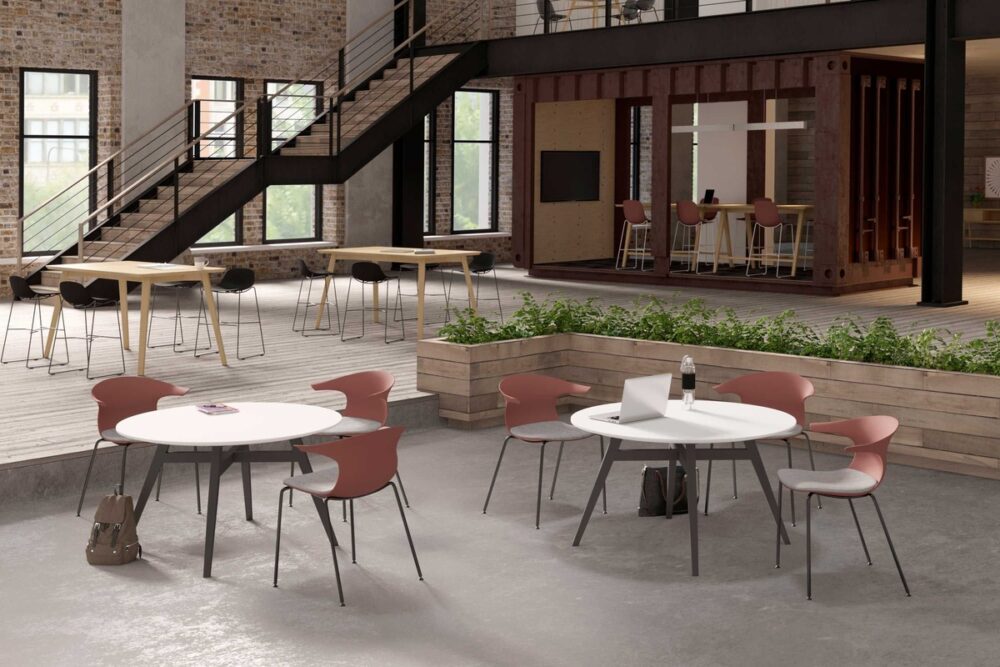 jsi_wink_enviro_00043 jsi_wink_enviro_00043