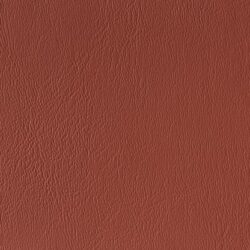 lg_CY-03-Red