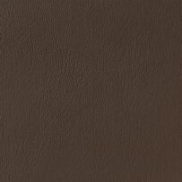 lg_CY-08-Baja-Brown