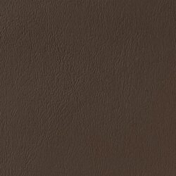lg_CY-08-Baja-Brown