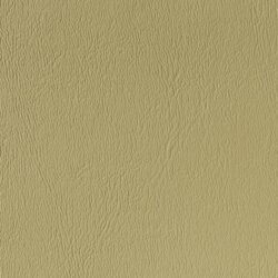 lg_CY-11-Olive