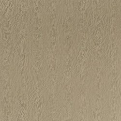 lg_CY-19-Antelope